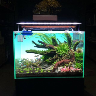 Tấm nền Light Screen YBB cho bể thủy sinh (30cm, 45cm, 60cm)