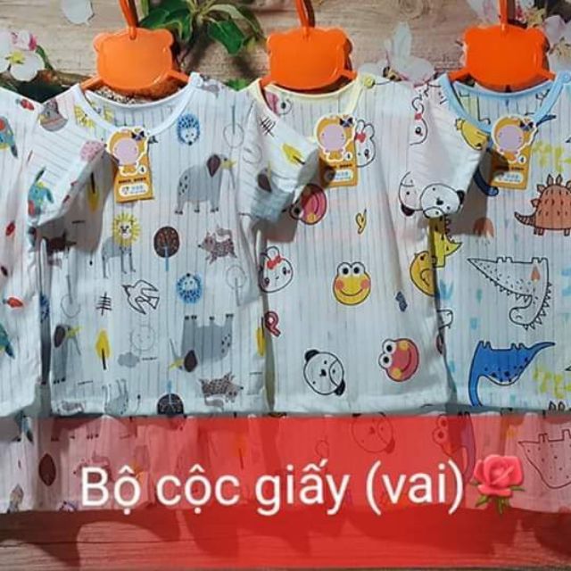 Bộ ct giấy cài vai sỉ 5b