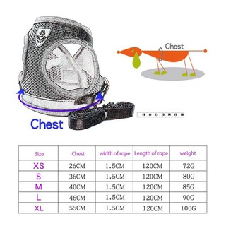 Áo lưới và dây dắt chó đi dạo