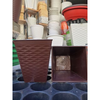 chậu vuông sóng 13x15cm