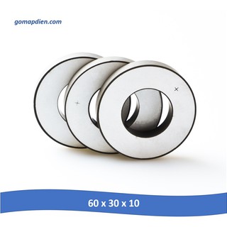 Tấm gốm áp điện lớn 60 x 30 x 10 mm