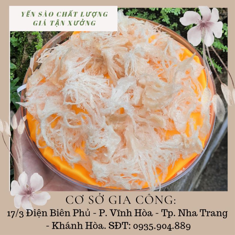 50gr Chân yến rút lông/chân yến đã làm sạch lông tặng đường phèn, táo đỏ