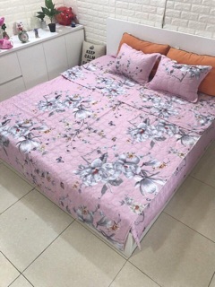 SET CHĂN GA GỐI COTTON POLY TRẦN BÔNG