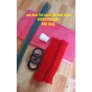 Set làm 50 cành nụ tầm xuân