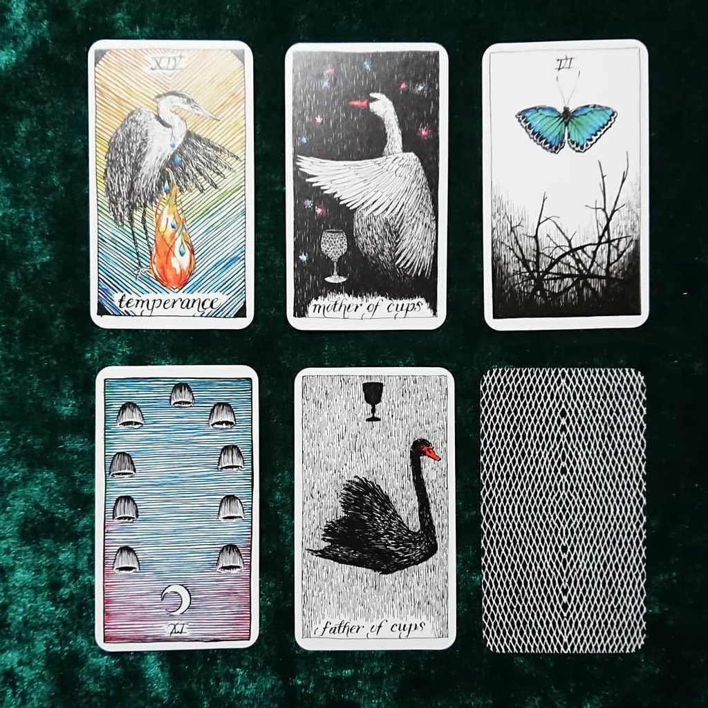 Bài Wild Unknown Tarot Pocket