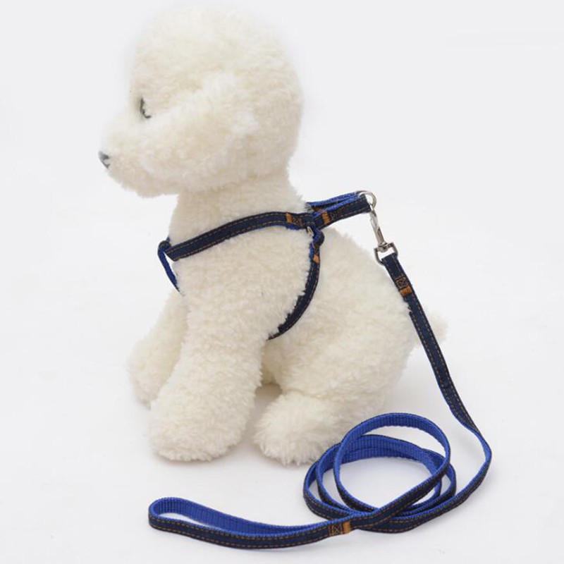 Dây dẫn mèo con cún cưng đi dạo chắc chắn