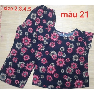 Bộ lửng Tole Thái size 2-3:45-60 kg