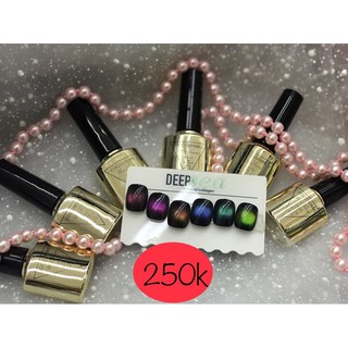 Set sơn mắt mèo 9D