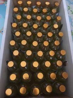 Tinh dầu tràm Huế