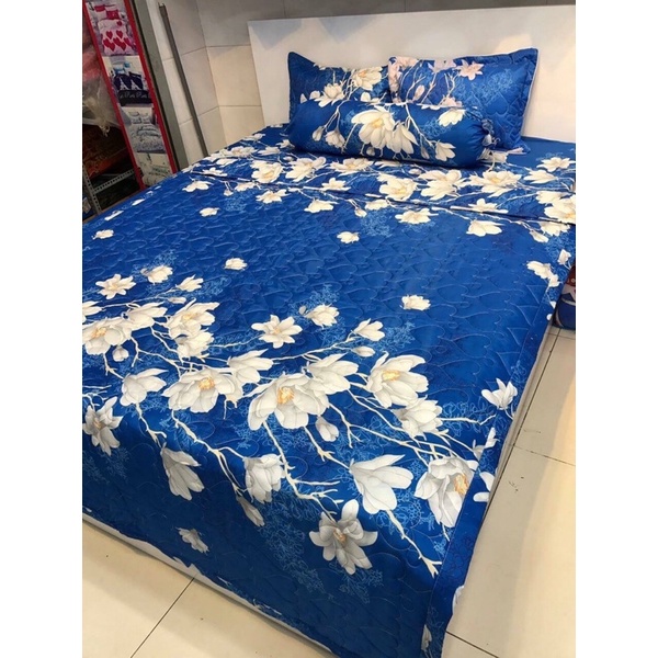 [Freeship] Bộ ga chun chăn hè kèm 2 vỏ gối (tặng kèm 1 vỏ gối ôm) | BigBuy360 - bigbuy360.vn
