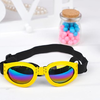 Mắt kính thời trang cho chó mèo-mã 001