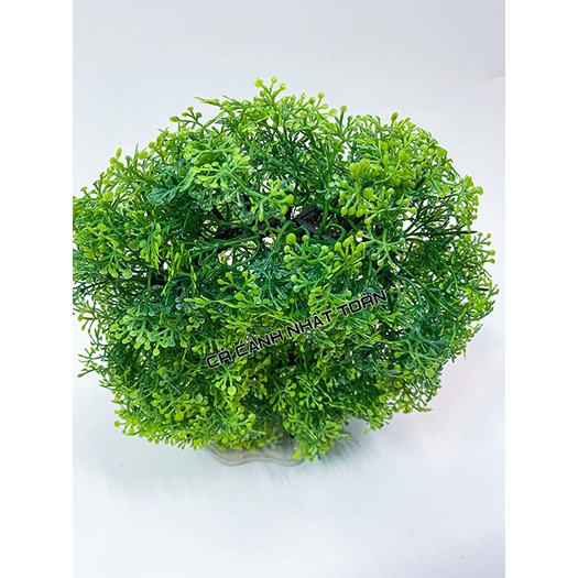 RONG GIẢ NHÂN TẠO VÒNG TRÒN TRANG TRÍ BỂ CÁ NON BỘ CAO 15CM