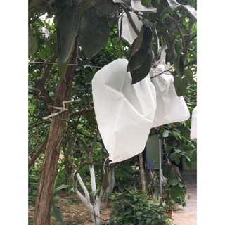 200 Túi bọc ổi,  xoài thái,  bơ,  khổ hoa (18x20cm)