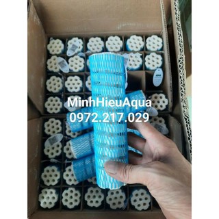 Sứ củ sen Mountain Tree Root 3 dành cho cá biển