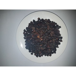 Hạt dổi rừng
