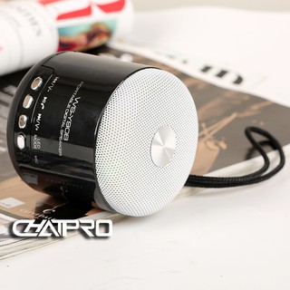 Loa Bluetooth WS Y90B