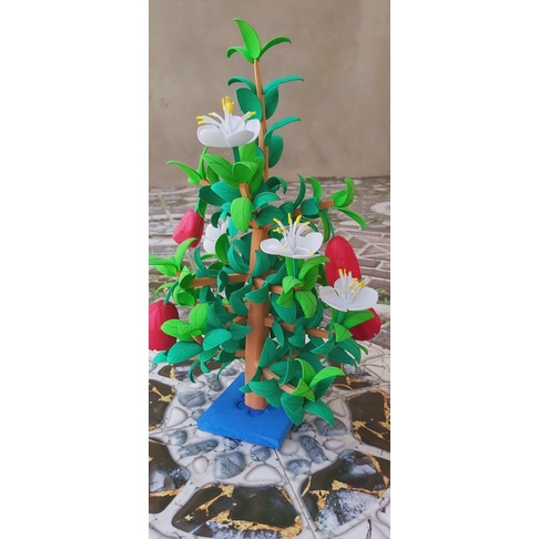 Cây ăn quả mầm non