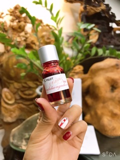 Mực pilot ink Nhật cao cấp 10ml