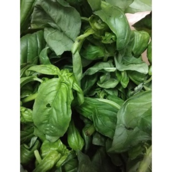 Basil Lá húng quế tươi 100g