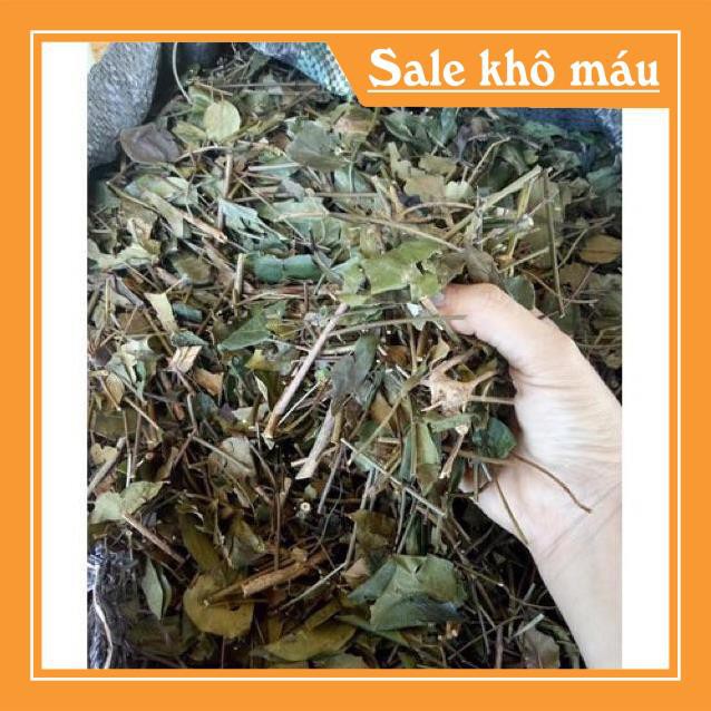 [HÀNG CHUẨN LOẠI 1] 1kg Chè Vằng Sẻ - Lợi Sữa