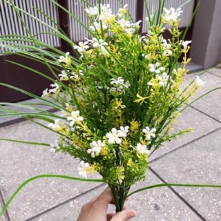 Hoa kèm cắm hoa - hoa tầng mai kho tphcm