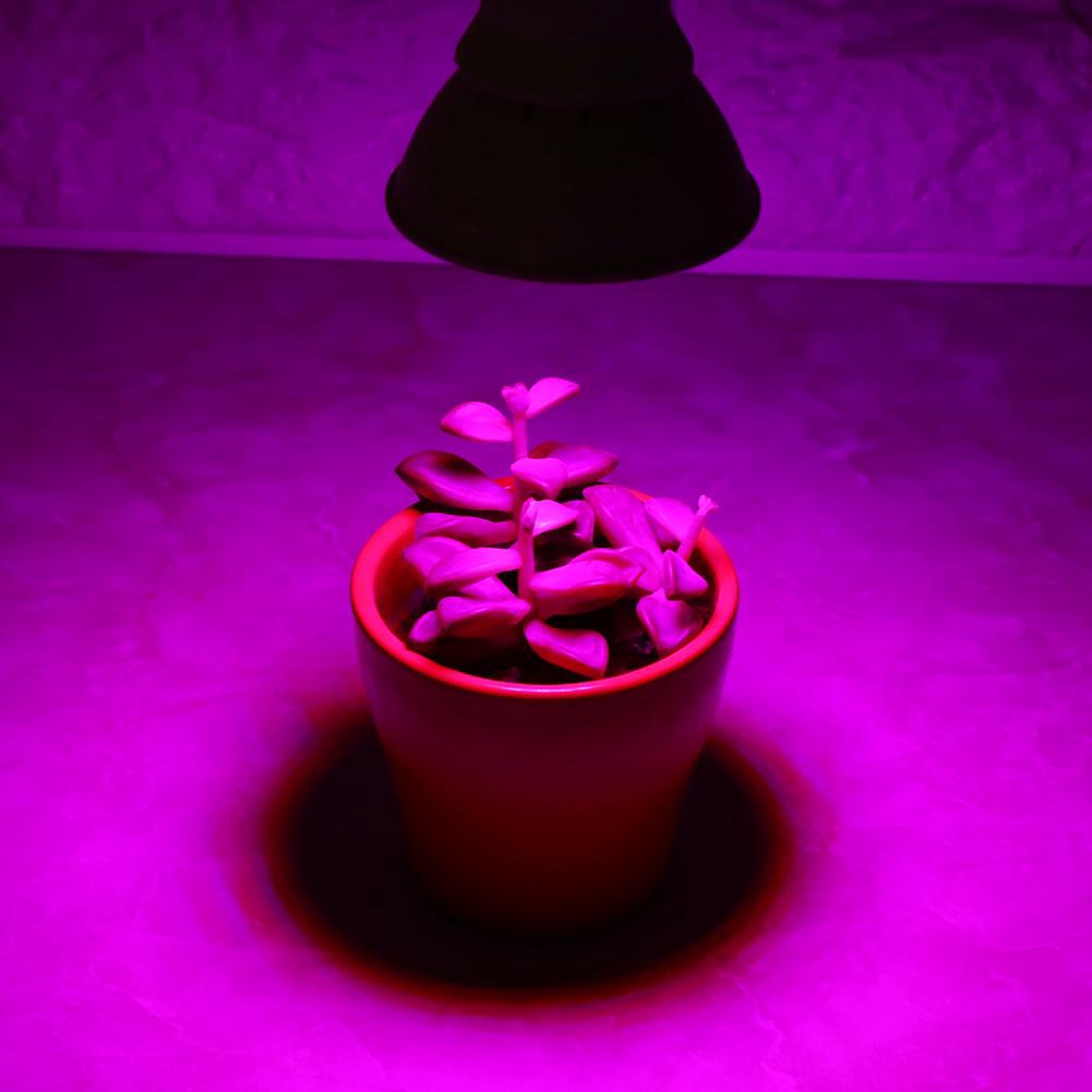 Đèn LED quang phổ toàn phần hỗ trợ trồng cây | BigBuy360 - bigbuy360.vn