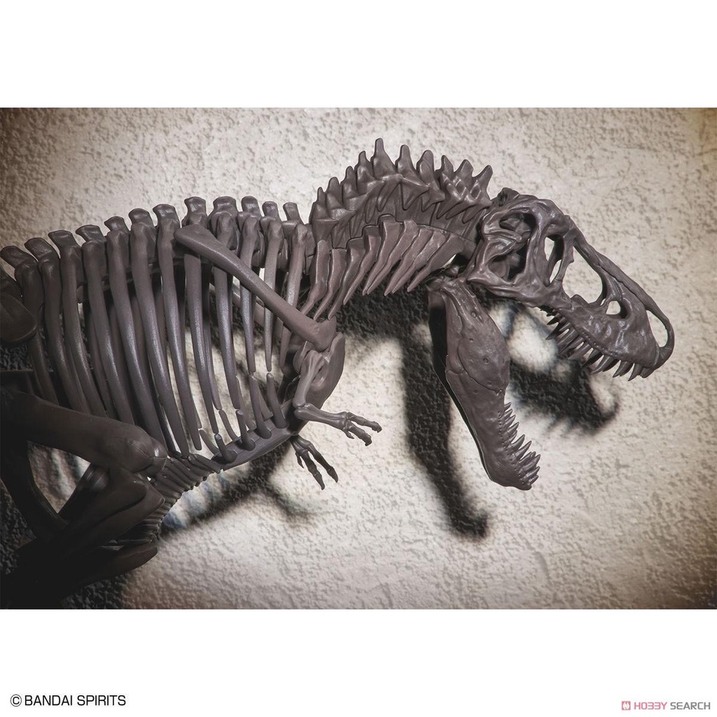 Bộ lắp ráp 1/32 Imaginary Skeleton Tyrannosaurus Khủng long bạo chúa