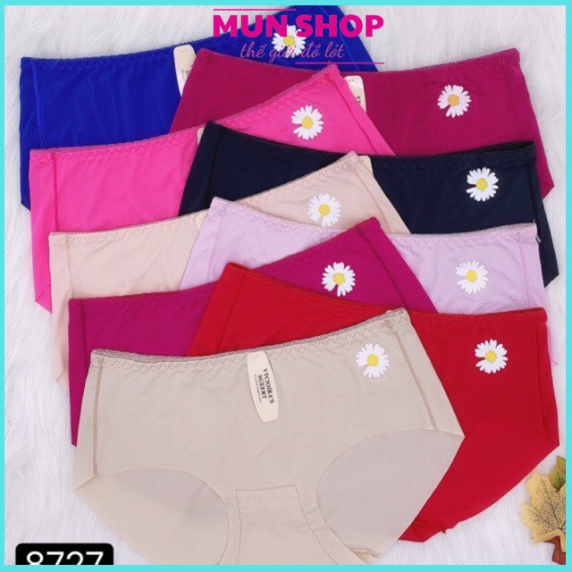 COMBO 10 QUẦN ĐÚC SU TRƠN HOA CÚC