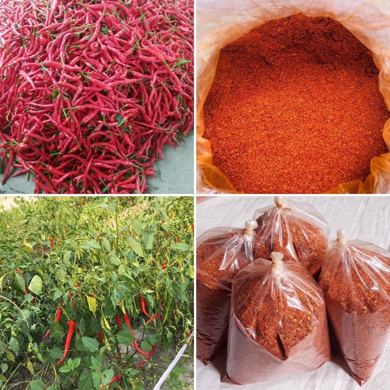 Ớt Siêu cay