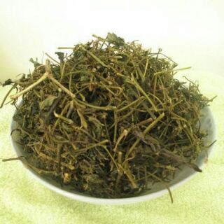 1kg Giảo cổ lam 7 lá sa pa
