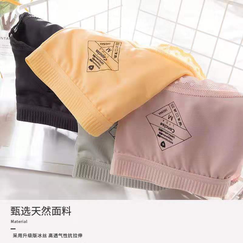 10 Quần lót cotton cạp sọc L0531