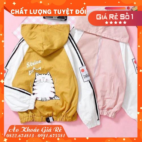 ÁO KHOÁC DÙ M47 (Mèo Ú Dễ Thương) (Siêu Rẻ)