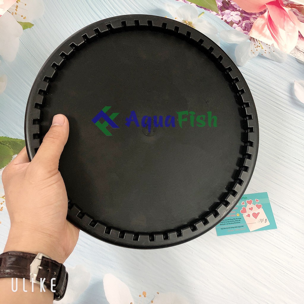 Đĩa Sủi Mỹ SSI - Đĩa Sủi Khí Oxy Cao Cấp Cho Bể Cá Cảnh, Hồ Cá Koi