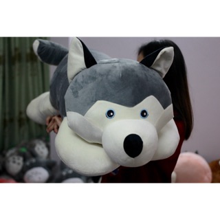 THU NHỒI BÔNG HUSKY 1M2