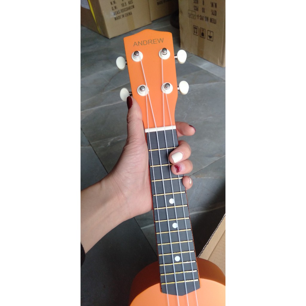 Đàn Ukulele Full Gỗ Sơn Màu Andrew MTU-212 Soprano Concert Cần Gỗ- tặng kèm pick gảy