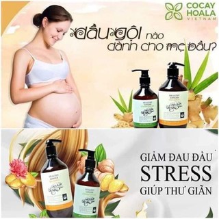 Cặp dầu gội xả thảo dược gừng tươi