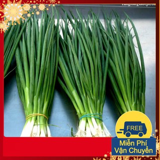 Hạt Giống Hành Lá