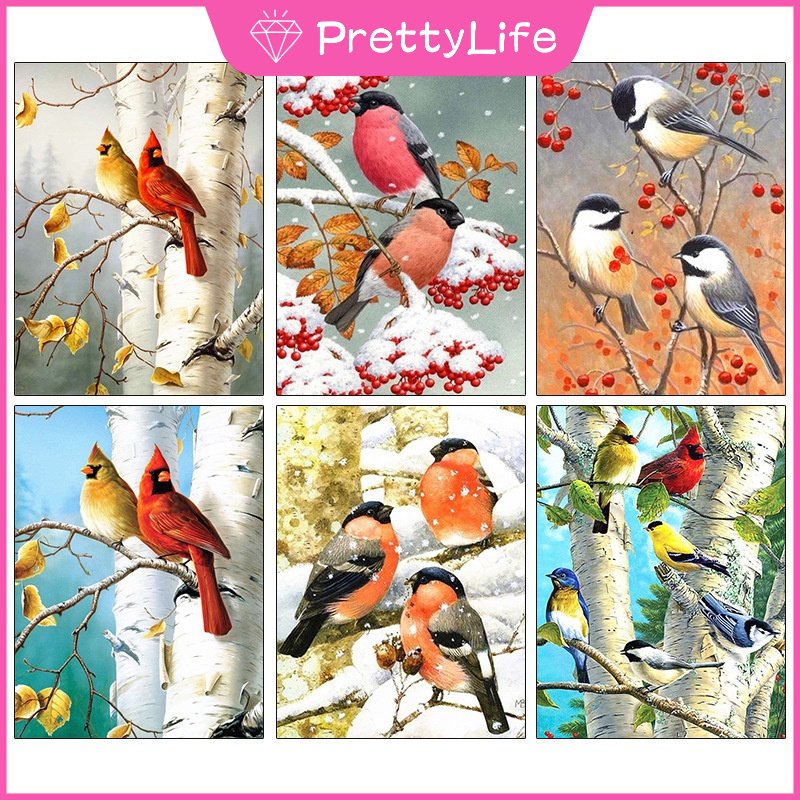 Bộ Tranh Đính Đá Tự Làm Kích Thước 30X40Cm Họa Tiết Chim Đơn Giản Hiện Đại Trang Trí Nội Thất