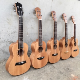 Đàn Ukulele gỗ Concert 23'| Giá rẻ - Chất lượng.