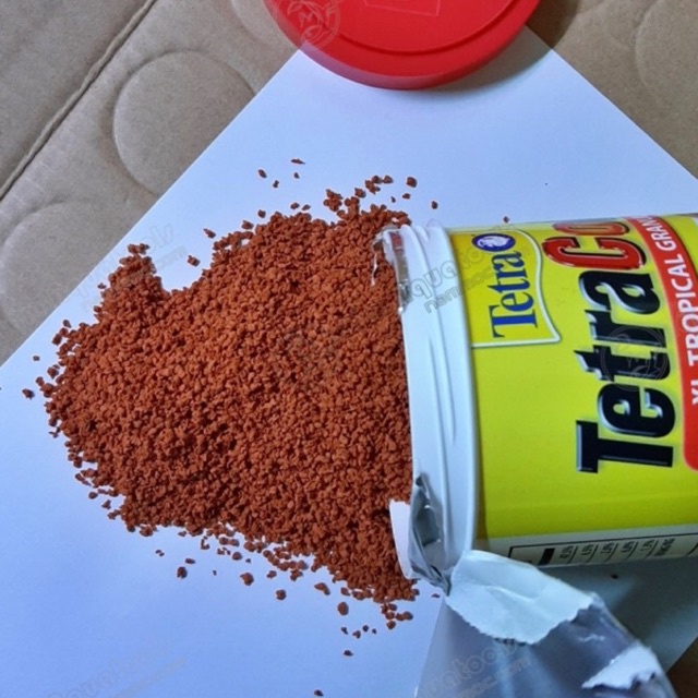 50gr Thức Ăn Cho Cá Cảnh Tetra Color-Giúp Cá Nhanh Lớn Lên Màu Đẹp