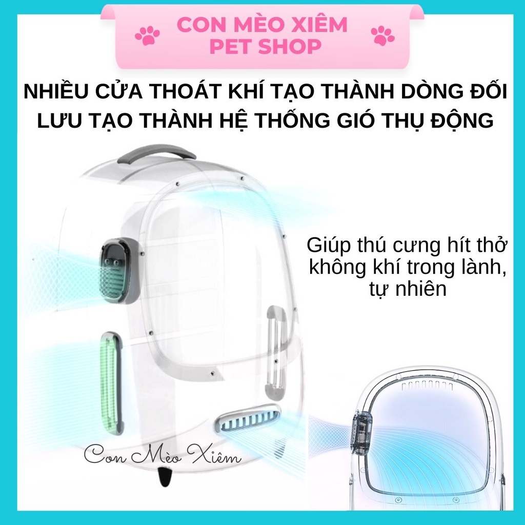 Balo chó mèo Petkit breezy ver 2 quạt điều hòa làm mát có đèn, túi đựng vận chuyển thông minh Con Mèo Xiêm