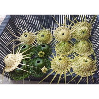 Nón Lá Dừa Tươi (0.3m*0.3m)