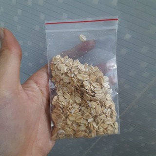 Yến mạch ăn dặm cho hamster 100gr