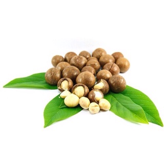 Hạt Mắc Ca Đăk Lăk ( Hút Chân Không )