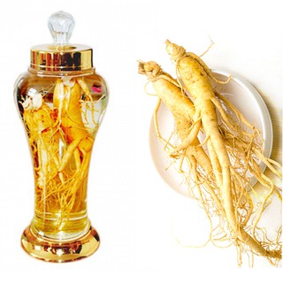Sâm tươi Hàn Quốc (loại tốt, ảnh thật)