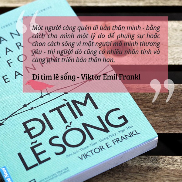 Sách Đi Tìm Lẽ Sống - First News  - FIN