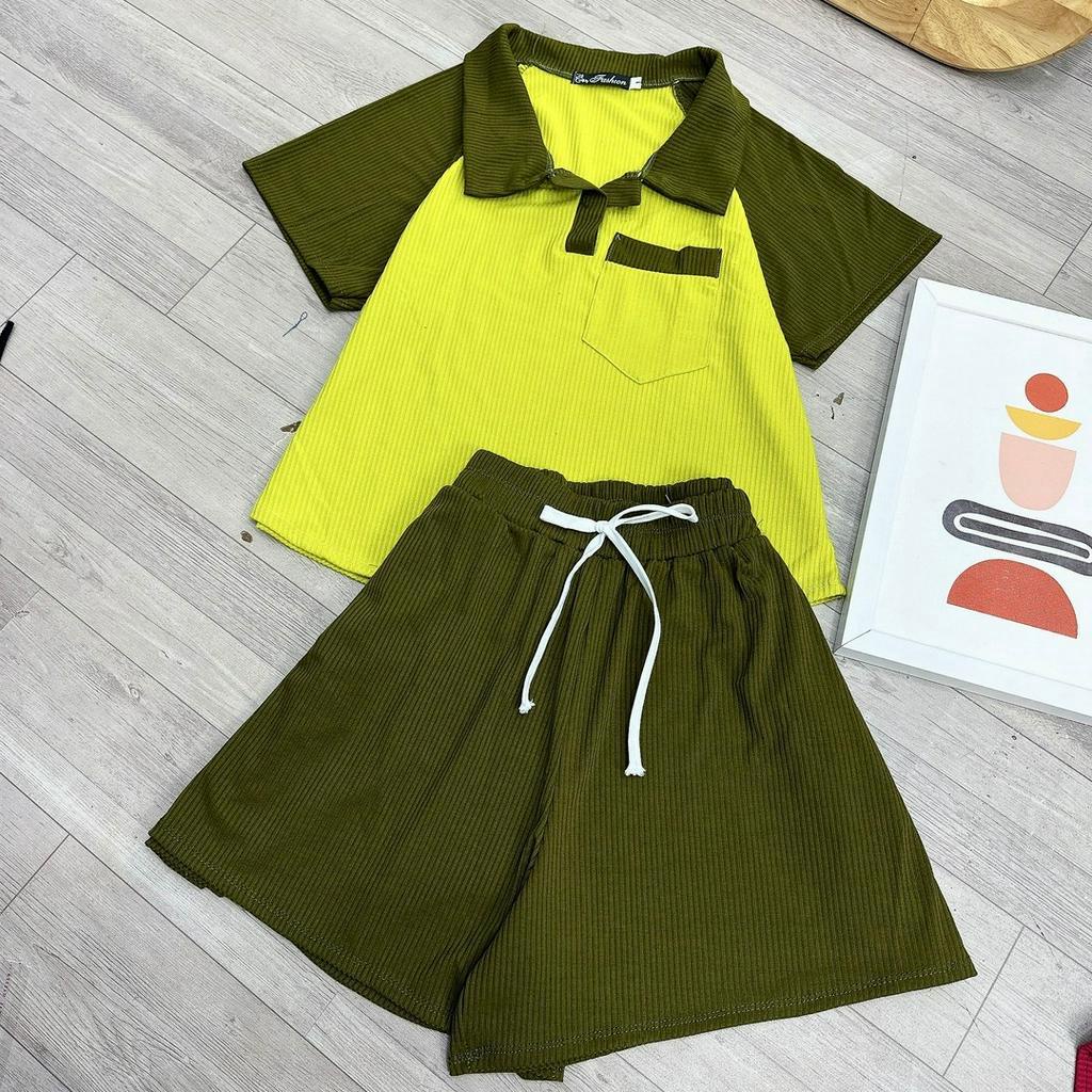 Set Quần Áo Bigsize Nữ Phối Màu,Bộ Quần Áo Polo  Vải Thun Gân Co Giãn Mặc Thoải Mái SET29