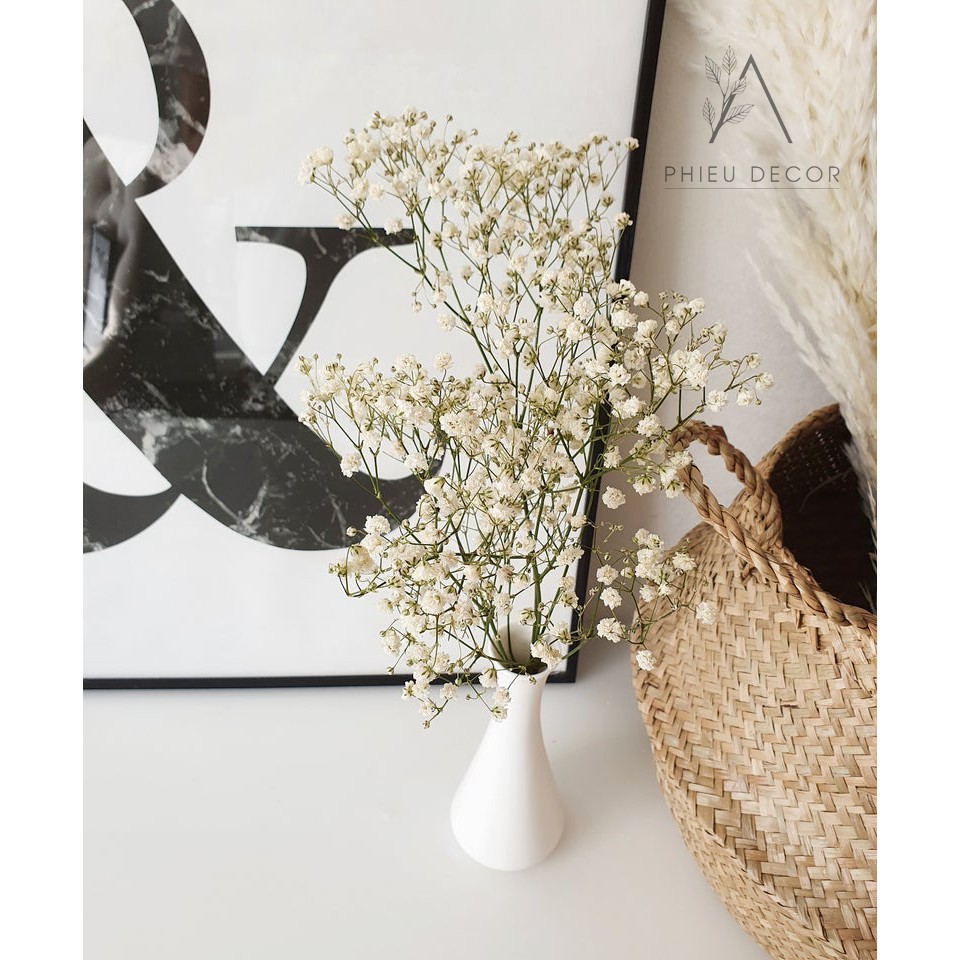 Hoa Baby Khô🌸Gypsophila🌸 Decor VIntage, Chụp Ảnh