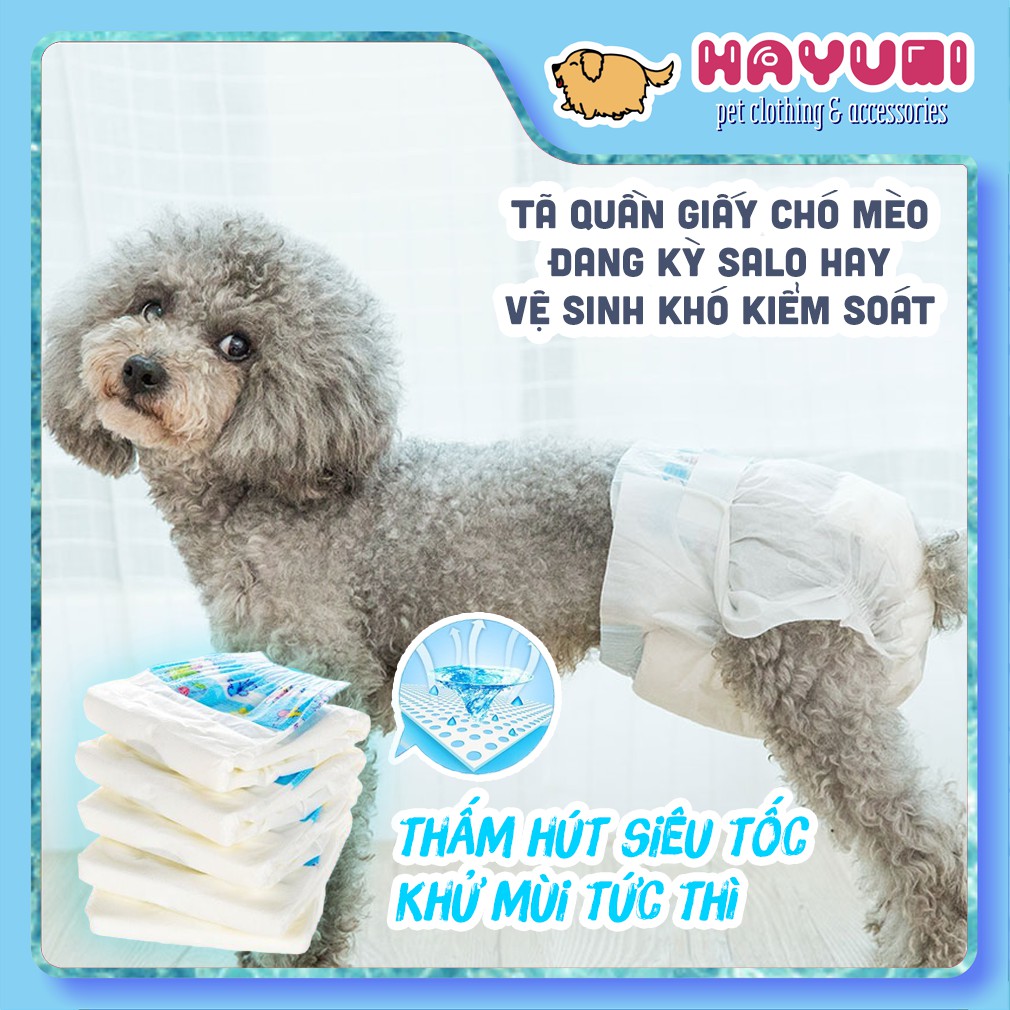 TÃ QUẦN (BỈM) GIẤY CHO CHÓ MÈO (KỲ SALO, VỆ SINH KHÓ KIỂM SOÁT)