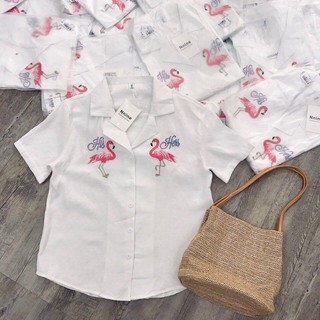 Sơ mi Hạc QC